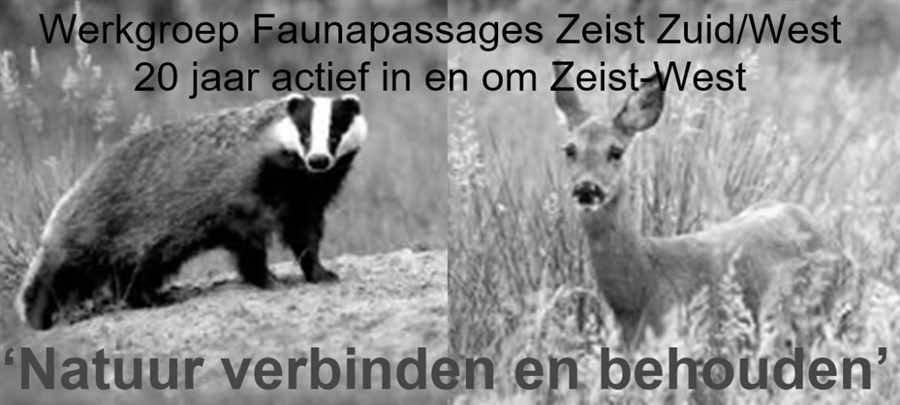 Bericht Faunapassages Zeist Zuid/West (werkgroep) bekijken